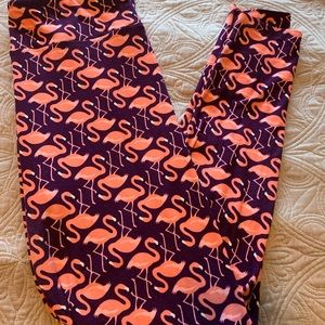 Lularoe Tall curvy flamingo leggings